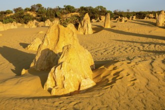 An image of the beautiful Pinnacles Desert in western Australia