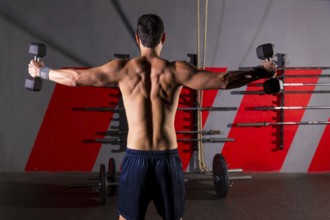 Hex dumbbells man workout rear view back exercise at gym box