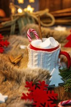 Hot chocolate with marshmallow