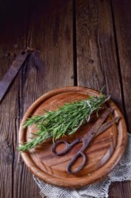 Rosmarin (Rosmarinus officinalis)