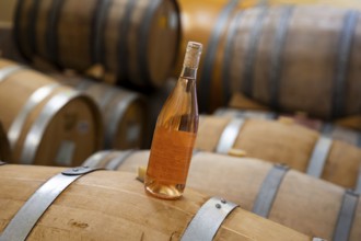 A bottle of rose wine on Oak Barrels wine fermenters in a winery