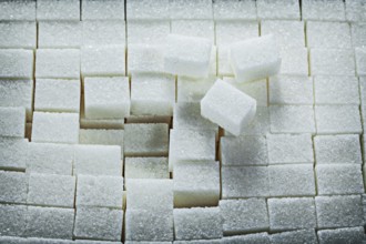 White sweet sugar cubes food concept
