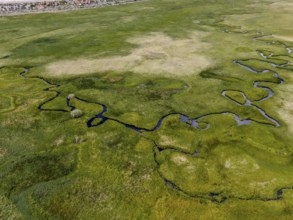 Aerial view of green land and small curve river in Aspen Springs, Mono County California, USA,
