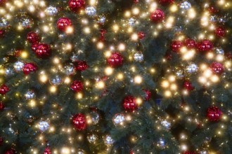 Illuminated Christmas tree, Christmas decoration, Roermond, Netherlands