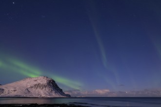 Northern Lights (Aurora borealis), Aurora Borealis, Lofoten, Norway, Europe