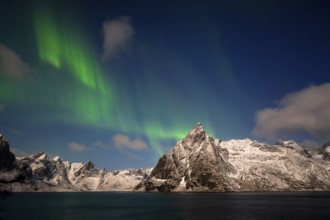 Northern Lights (Aurora borealis), Aurora Borealis, Lofoten, Norway, Europe