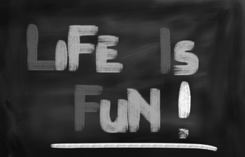 Life Is Fun Concept