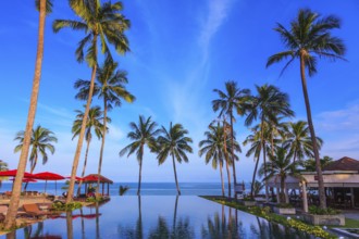 Pool surrounded by palm trees on the sea beach. On the edge of the pool red sun canopy. Rest of the