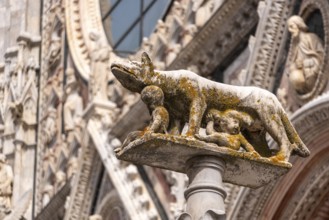 Statue of Romulus and Remus being fed by the wulf, at the central square of Siena, Italy, Europe