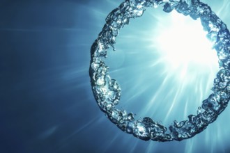 Bubble Ring Underwater ascends towards the Sun