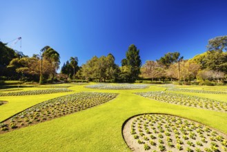 BRISBANE, AUSTRALIA - JULY 29 2023: City Botanic Gardens on a clear winter's day in Brisbane,