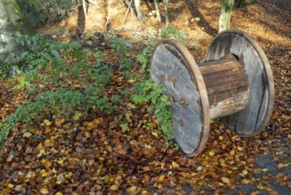 Empty cable drum in the forest