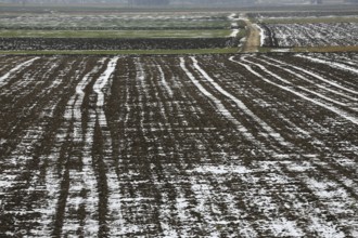 Farmland in winter