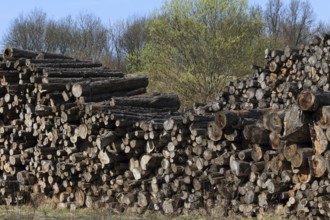 Log pile, log pile