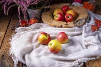 Malus sylvestris, der leckere europäische Krabbenapfel