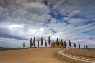Dreamy landscape in Tuscany with cypresses and a lonely house in sunny weather, Pienza, Val