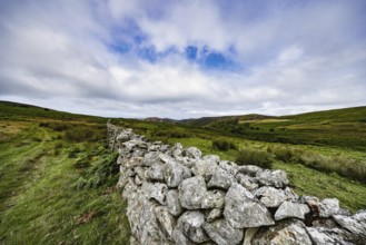 Hilly landscape with green meadows and stone wall, dry stone wall on the edge of Snowdonia National