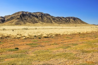 Landscape of the Namib desert during the dry season, Namib Naukluft Park, Namibia, Africa