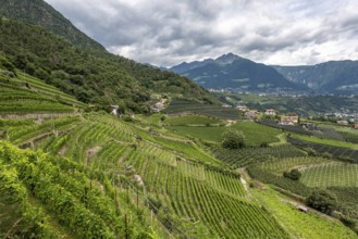 View from the Algunder Waalweg
