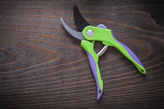 Sharp pruning shears on vintage wooden board gardening concept