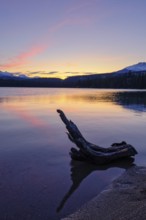 Beautiful autumn landscape scene in mountain in background in Jasper National Park west Canada