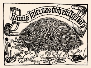Bookplate of Johannes Knabensperg, called Igler, wood engraving, 1450