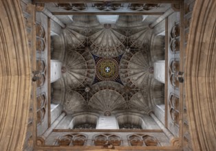 Canterbury, Cathedral, view into the crossing tower with fan vaults
