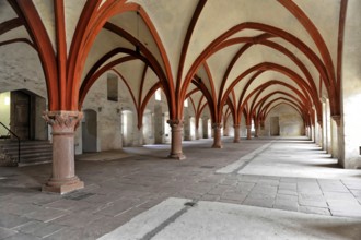 Eberbach Monastery, founded in 1136, Eltville am Rhein, Rheingau, Hesse, Germany, Large Gothic room