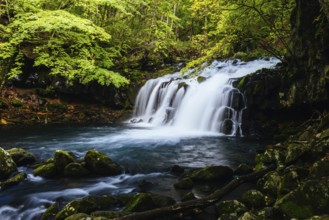 The magnificent Tateshina Otaki Falls on the famous Venus Line road, famous as a scenic driving