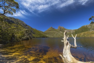 Dove Lake is is an ancient glacial lake near Cradle Mountain in Tasmania, Australia. It lies in the