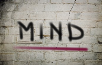 Mind Concept