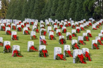Atop a hill, a veterans cemetery with white headstones and the American flag evokes deep honour,