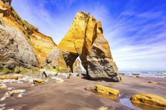 The Tongaporutu beach on the Pacific coast. Magical journey to the ends of the world. Low tide on