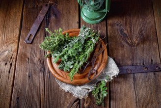 Herbal collection of: thyme, oregano, rosemary