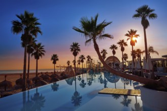 Resort pool in the beach with palm trees at sunrise