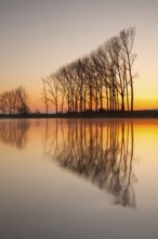 Symmetry - Reflection on the morning river