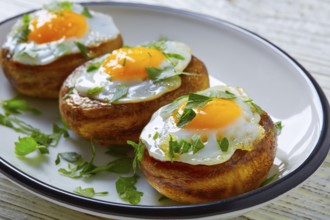 Tapas mushrooms with quail eggs from Spain pinchos pintxos