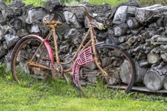 A bicycle was forgotten and has not been used for a long time