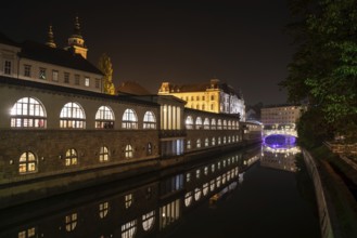 Iconic building of the central market in Ljubljana illuminated at night, the bridge of Preseren