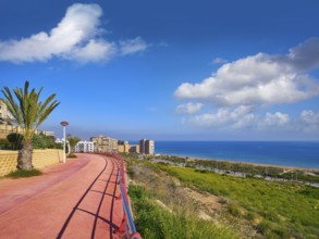 Arenals del Sol Beach in Elche Elx of Alicante in Costa Blanca at Spain aerial view
