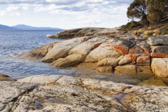 Granite boulders reddened by lichens are polished smooth by waves, Swansea, Tasmania, Australia,
