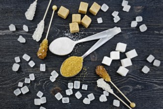Sugar white and brown granulated in spoons, crystal and cubes on the background of a black wooden