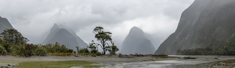 Magnificent panoramic view of Milford Sound during rainy weather, South Island of New Zealand