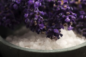 Lavender spa