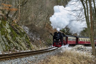 Old steam locomotive in the Harz Mountains in Germany driving through the forest