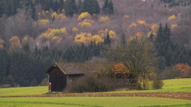 Small hut on the swabian jura in the middle of some fields with autumn colors