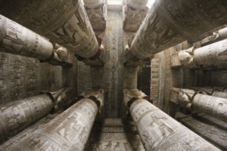 Relief Paintings in the great columns hall of the Hathor temple of Dendera, Egypt, Africa