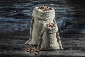 Little and big sacks of coffee beans