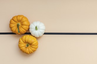 Creative Top view flat lay autumn composition. Frame concept pumpkins color paper background copy