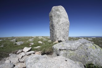 Menhir, at Mont Lozere, Cévennes National Park, France, Europe